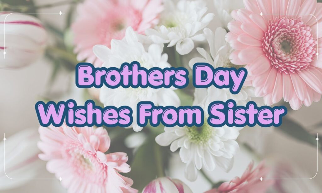 Brothers Day Wishes From Sister